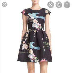 Ted Baker Zaldana fit and flare dress